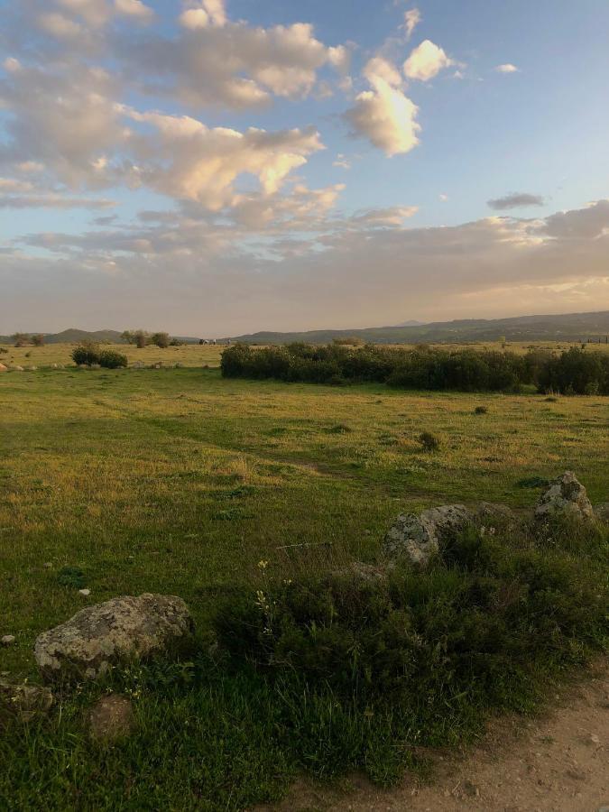 El Lago Cervera de Buitrago 외부 사진